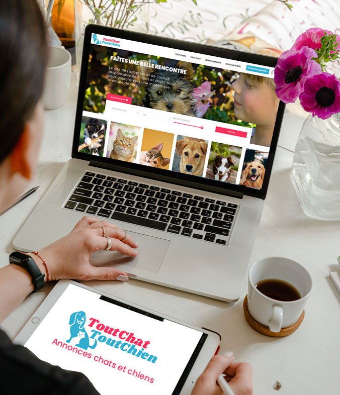 Tout Chat Tout Chien