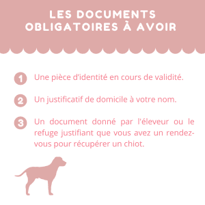 récupérer un chiot pendant le confinement