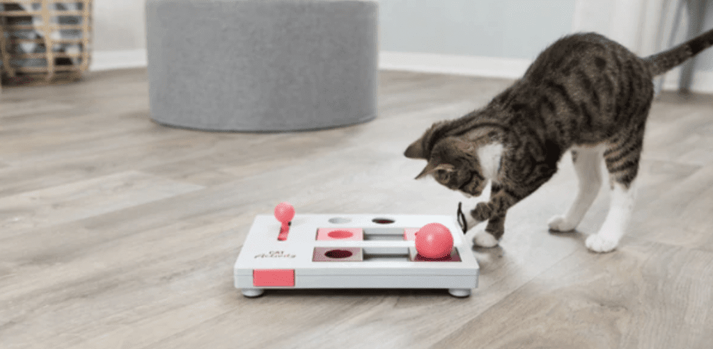 jouets préférés chats