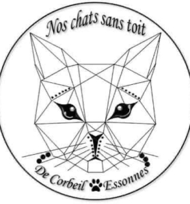 Nos chats sans toit