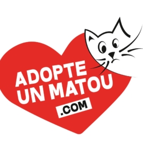 Adopte un Matou