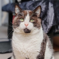 𝐑𝐎𝐔𝐃𝐎𝐔𝐃𝐎𝐔 est  né le 01/01/2020 – 𝗔𝗗𝗢𝗣𝗧𝗜𝗢𝗡 𝗦𝗢𝗦