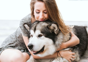 Adopter un chien : les questions à se poser