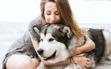 Adopter un chien : les questions à se poser