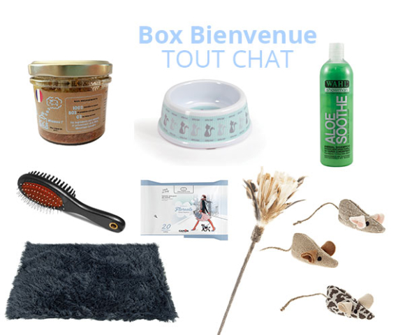 Box-chat-toutchattoutchien-chat