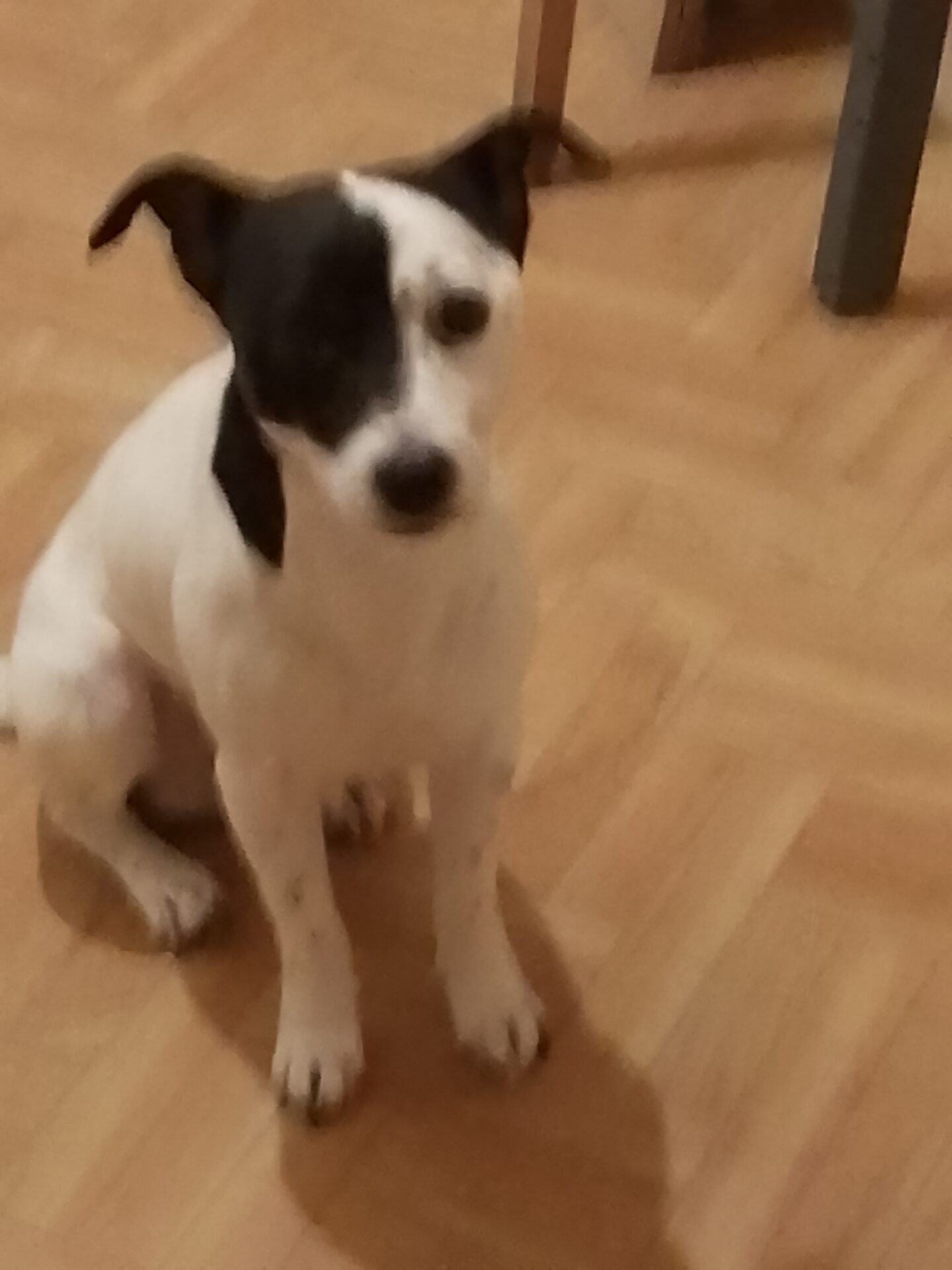 JACKY RECHERCHE SON MAITRE