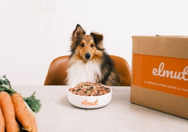 Une alimentation saine et fraîche pour vos chiens et chats