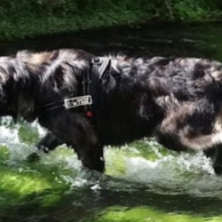 Donne Puchka contre bons soins