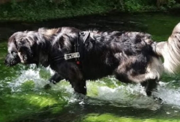 Donne Puchka contre bons soins