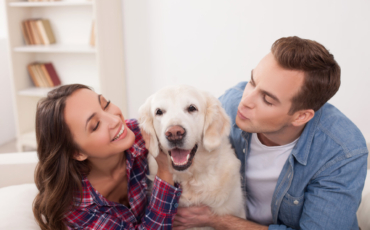 L’importance de l’assurance santé animale dans la santé de votre animal