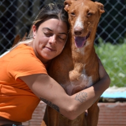 COCO 4 ans, LE chien idéal et ok chat !
