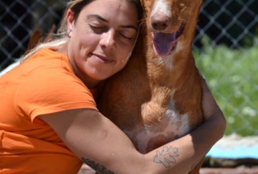 COCO 4 ans, LE chien idéal et ok chat !