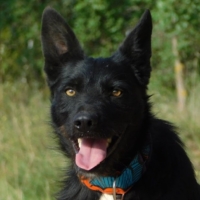 ENEKO, jeune et magnifique !