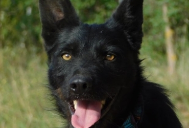 ENEKO, jeune et magnifique !
