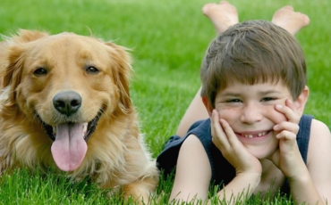 Comment convaincre ses parents d’avoir un chien ?