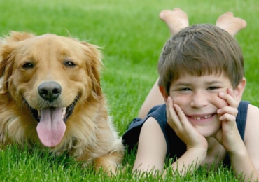 Comment convaincre ses parents d&rsquo;avoir un chien ?