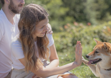 Les 5 astuces pour bien dresser mon chien