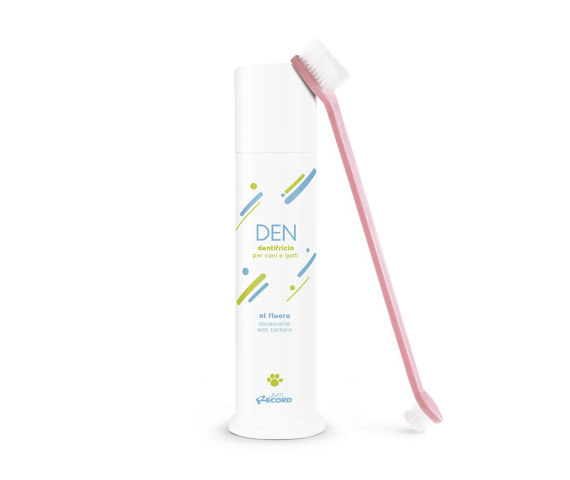 kit-de-dentifrice