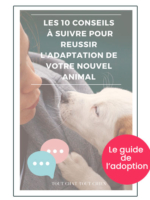 Les 10 conseils à suivre pour réussir l'adaptation de votre nouvel animal