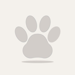 Recherche une famille aimante